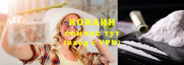 тгк Белокуриха