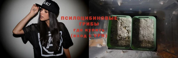 тгк Белокуриха
