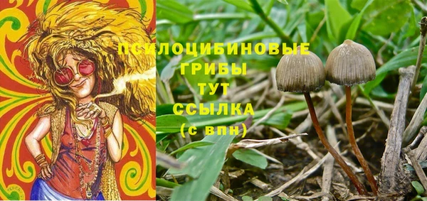 спиды Беломорск