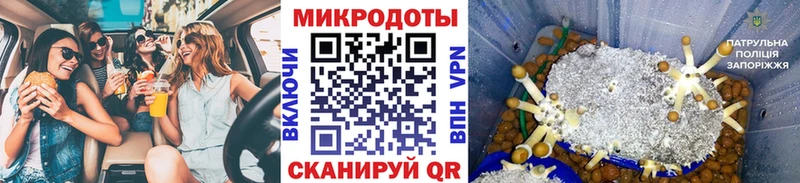 гидра ТОР  Высоковск  Галлюциногенные грибы GOLDEN TEACHER 